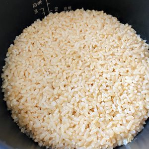 ファンケル発芽米をブルーノの電気圧力鍋で炊いてみたレビュー